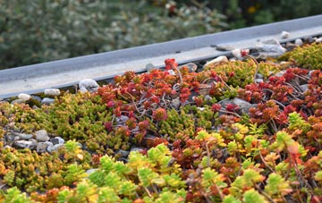 the cost of Longniddry green roof installation