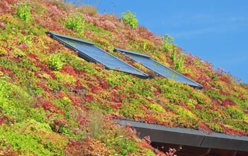 Longniddry living roof systems