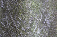 Longniddry fibreglass roof work